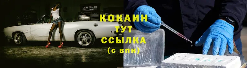 COCAIN Fish Scale  МЕГА tor  Кадников 